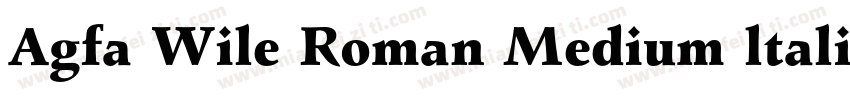 Agfa Wile Roman Medium ltalic字体转换